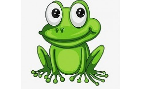 Grenouille 5   